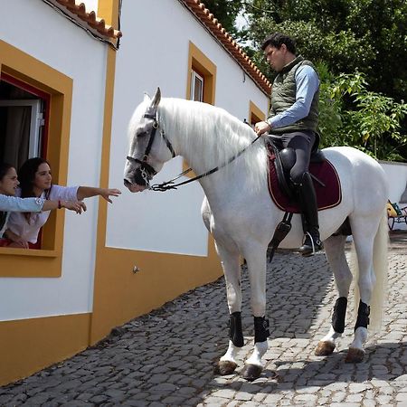 앙그라두에루이스무 Quinta Do Malhinha- Turismo 빌라 외부 사진