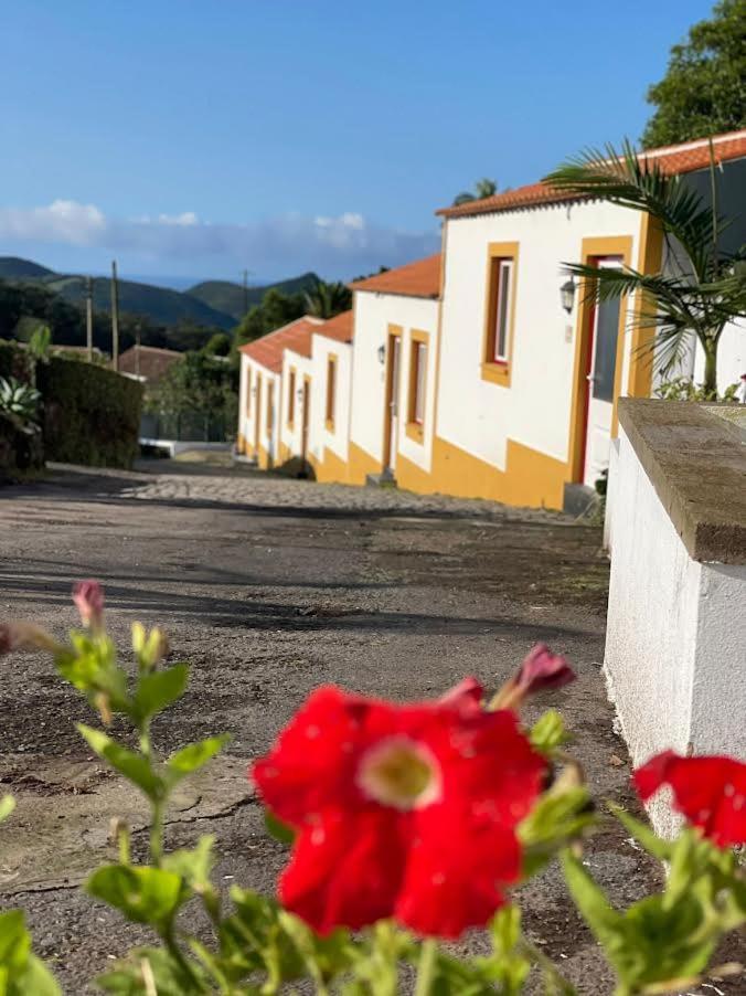 앙그라두에루이스무 Quinta Do Malhinha- Turismo 빌라 외부 사진